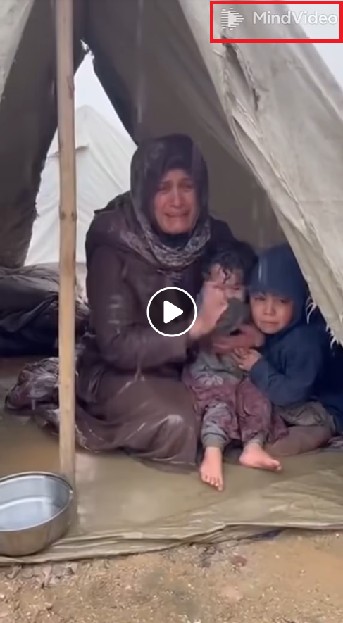 شعار MindVideo اعلى الفيديو