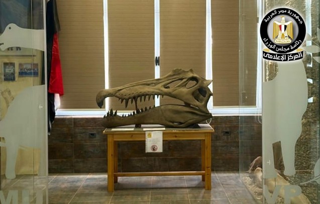  نوع جديد من التماسيح القديمة (حساب مجلس الوزراء)