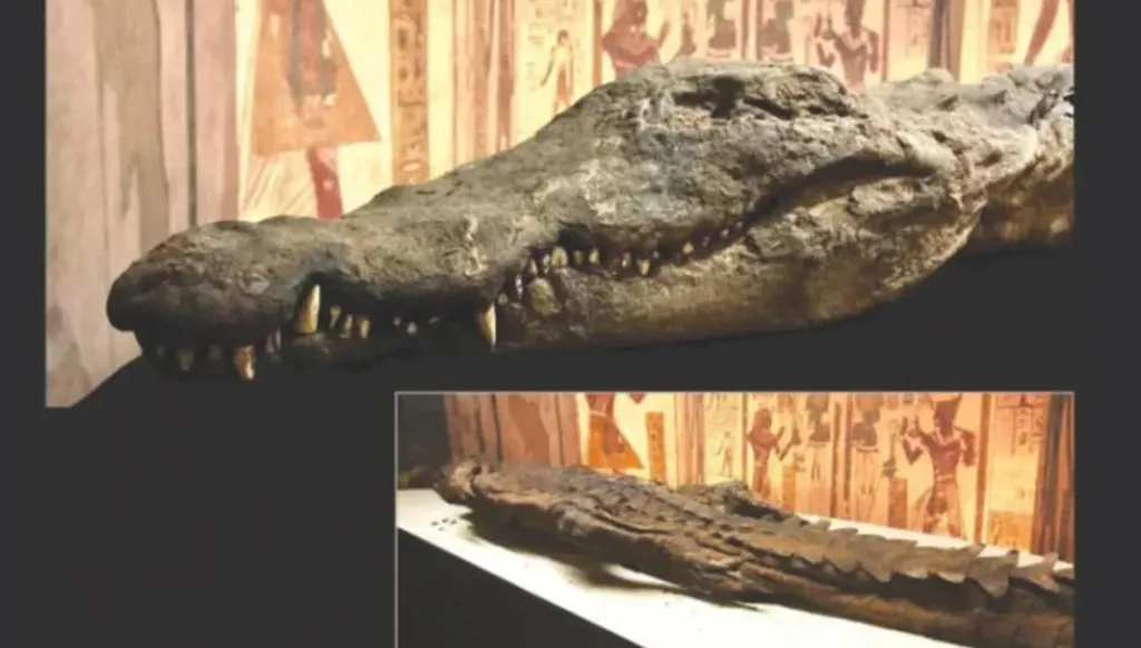 اكتشاف تمساح عاش في مصر قبل 80 مليون عام… ونجا من انقراض الديناصورات!