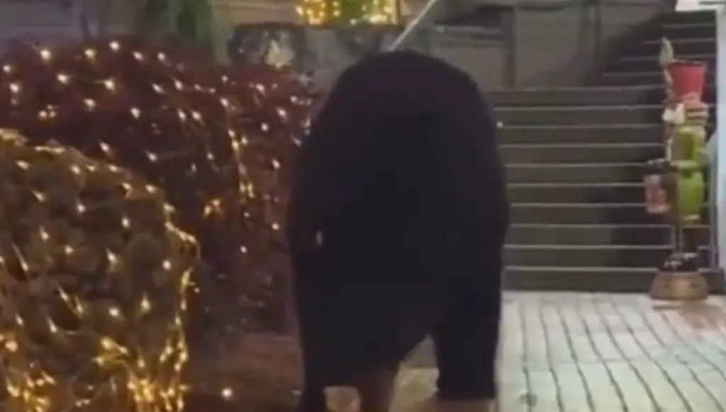 دُب يقتحم أجواء الميلاد... ويتجول بين المتسوقين! (صور وفيديو)