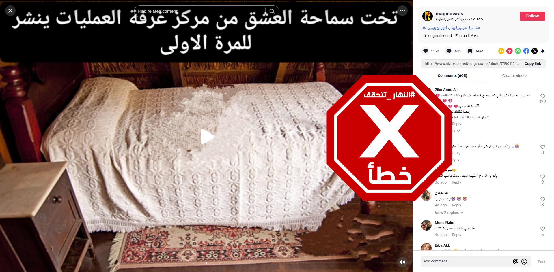 الصورة المتناقلة بالمزاعم الخاطئة (تيك توك)