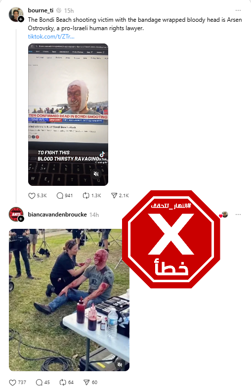 الصورة المتناقلة بالمزاعم الخاطئة (ثردز)