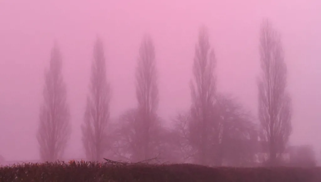 بالصور- ظاهرة تُربك البريطانيين… السماء باللون الوردي