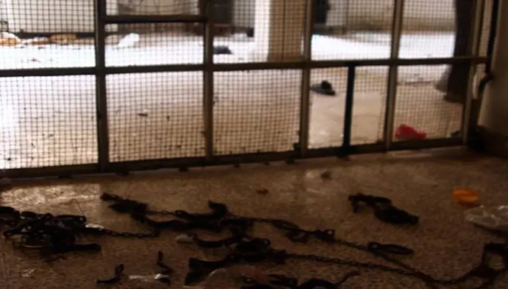 ضباط النظام السوري المخلوع الموجودون في لبنان من يحميهم؟