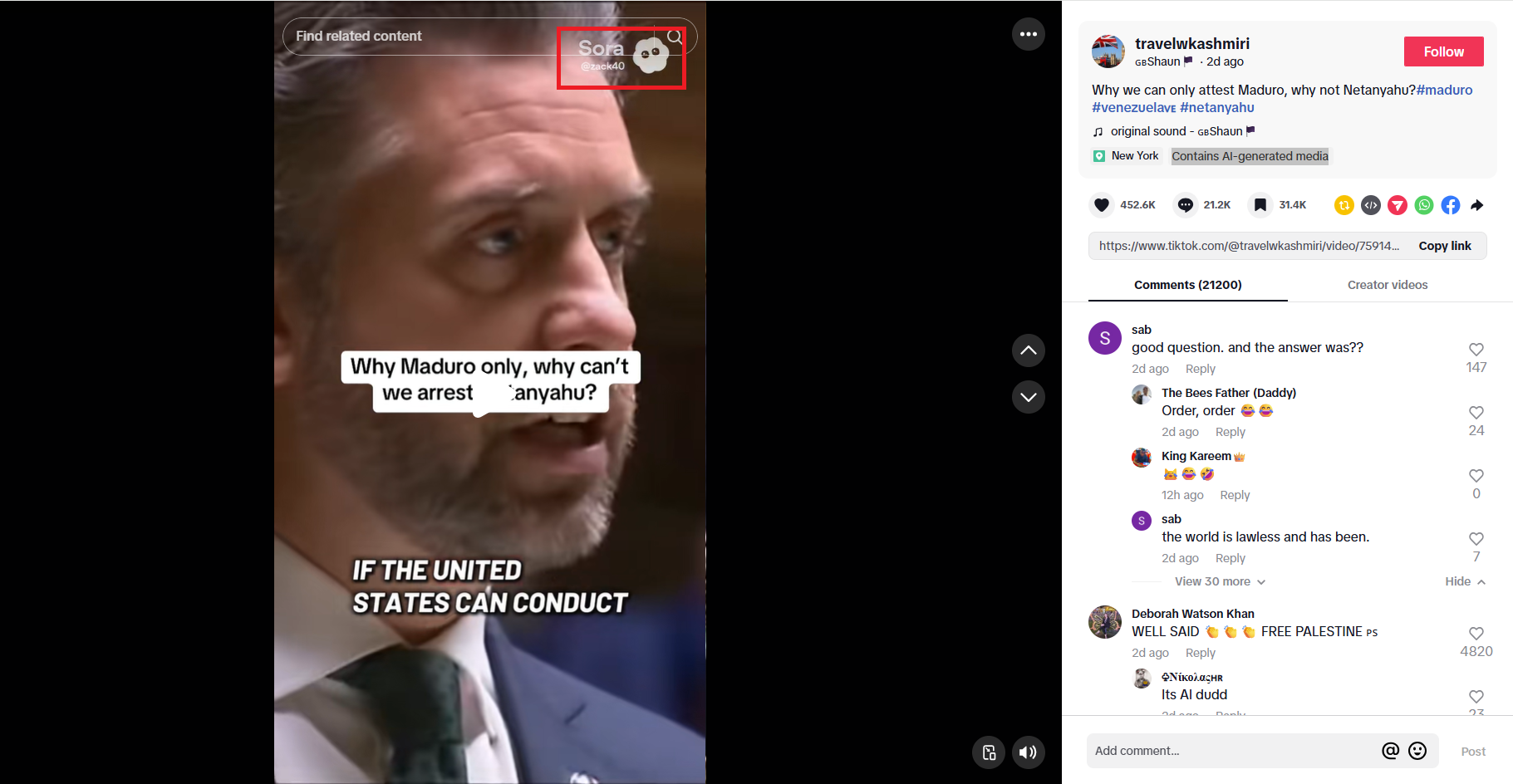 لقطة من الفيديو المنشور في حساب travelwkashmiri@ في تيك توك، في 4 كانون الثاني 2026