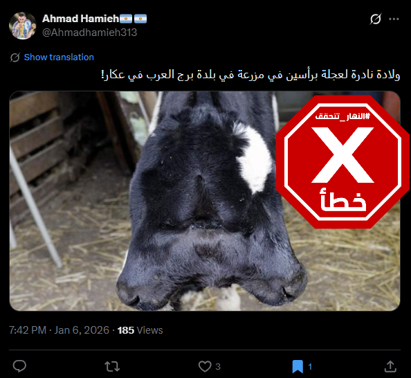 الصورة المتناقلة بالمزاعم الخاطئة (اكس)