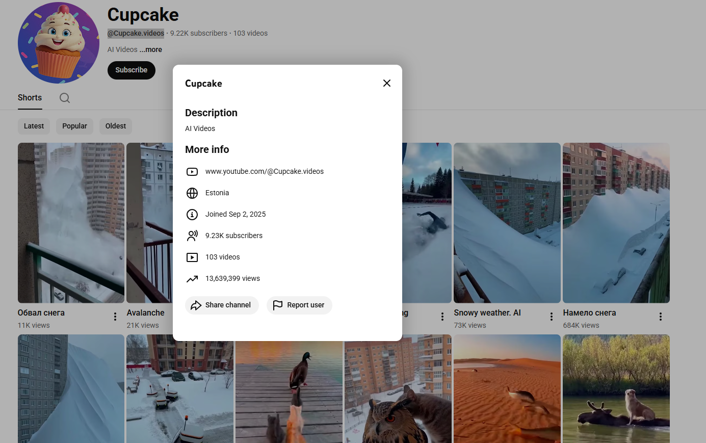 لقطة لحساب Cupcake.videos@ في يوتيوب  