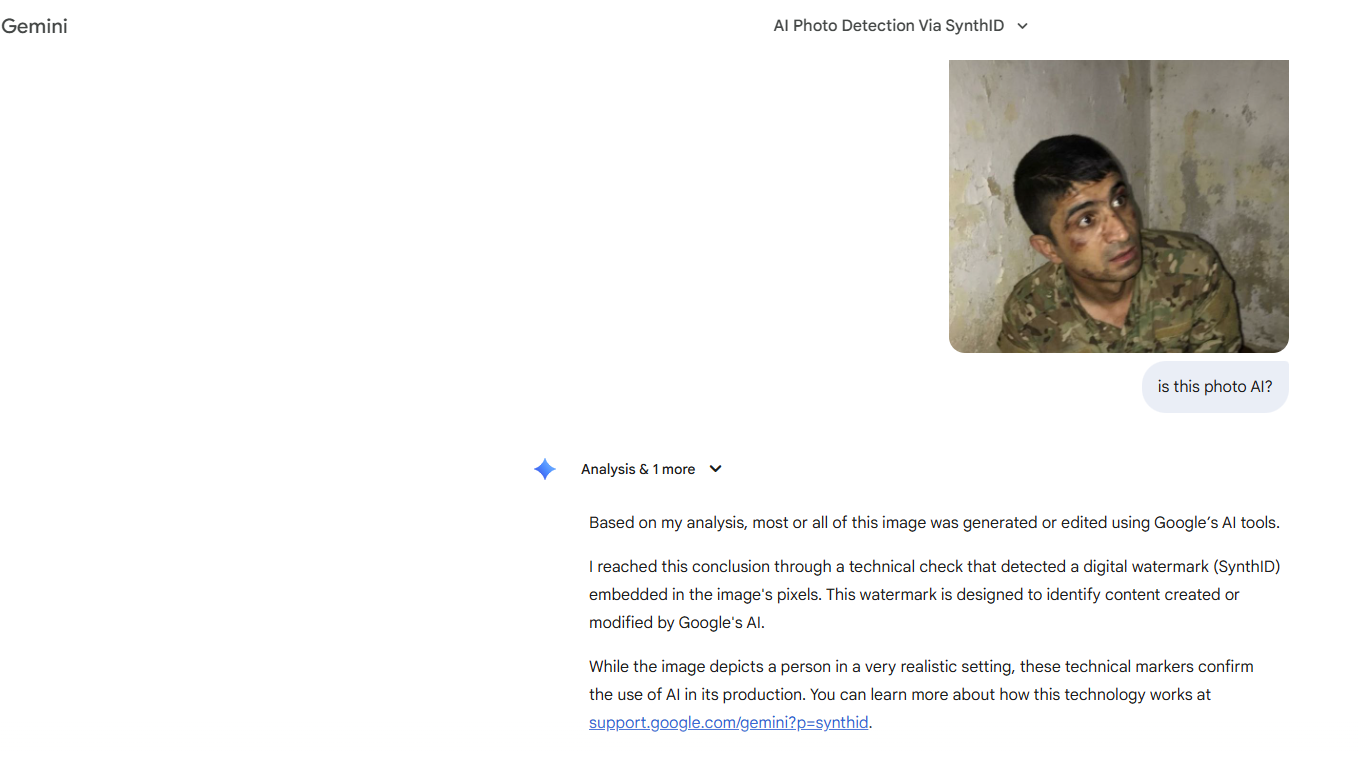 تحليل Gemini للصورة