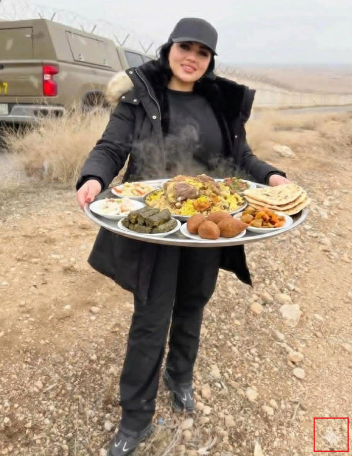 العلامة المائية لـgemini 3 ظاهرة اسفل الصورة