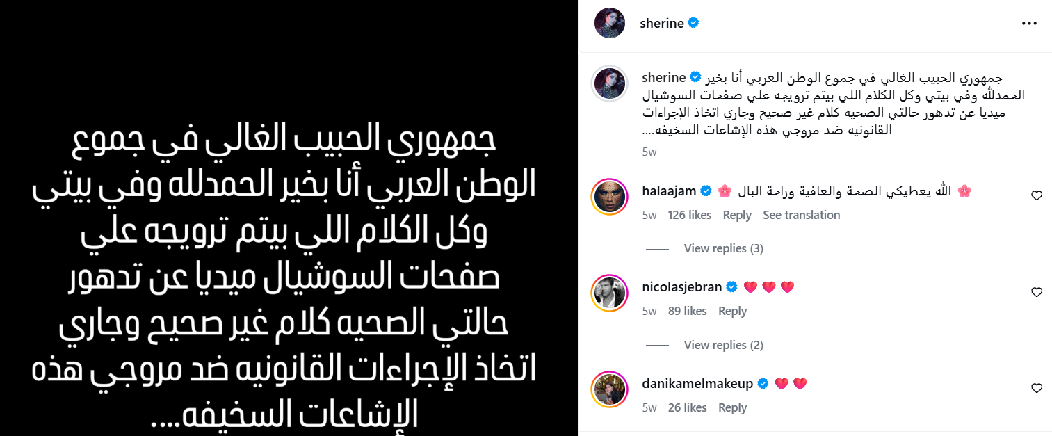 رسالة شيرين عبدالوهاب إلى جمهورها (إنستغرام)