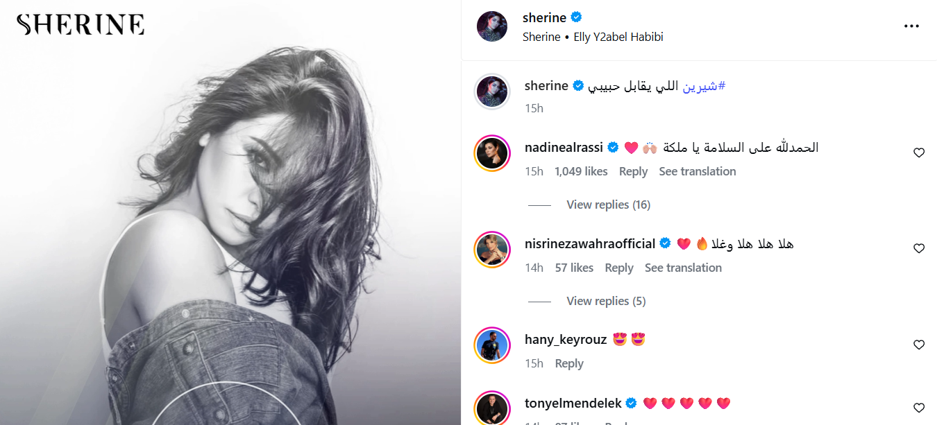 شيرين تفعّل نشاطها على إنستغرام 