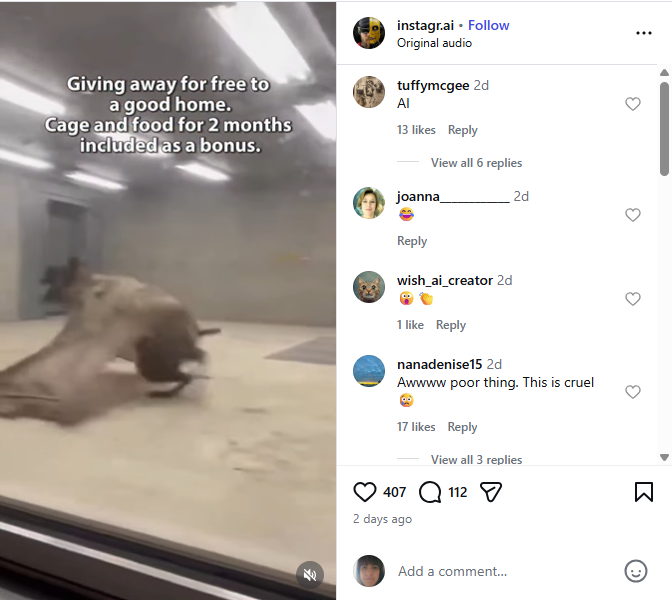 لقطة من الفيديو المنشور في حساب instagr.ai@ في انستغرام في 26 كانون الثاني 2026