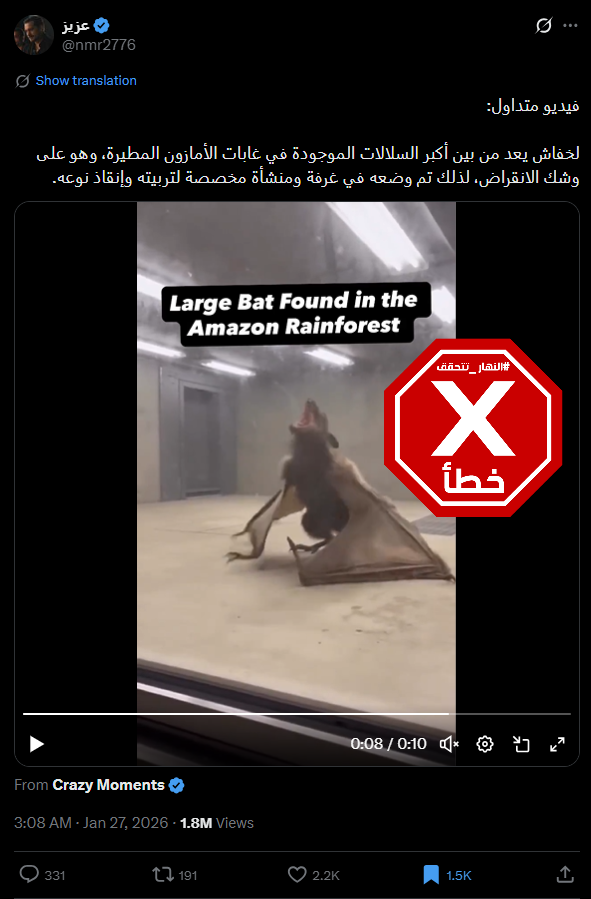 لقطة من الفيديو المتناقل بالمزاعم الخاطئة (اكس)