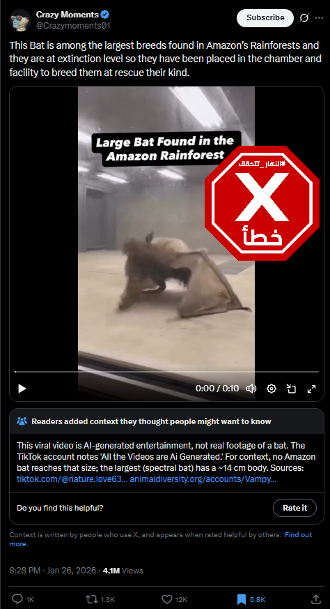 لقطة من الفيديو المتناقل بالمزاعم الخاطئة (اكس)