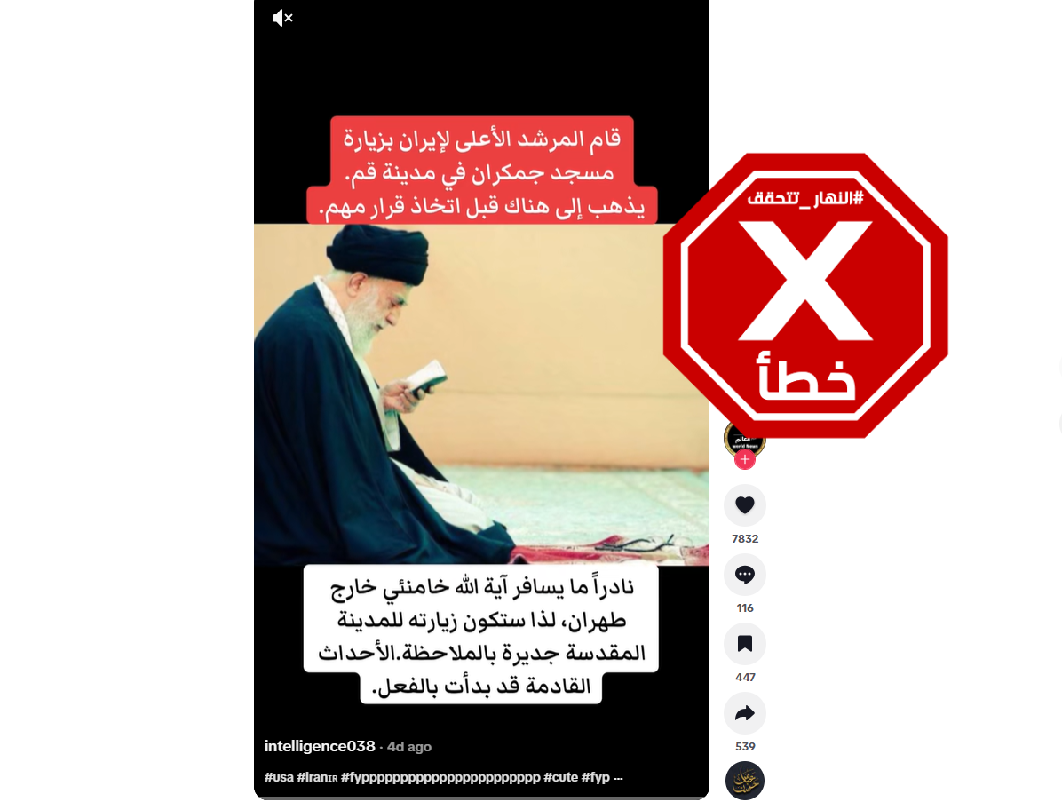 الصورة المتناقلة بالمزاعم الخاطئة (تيك توك)