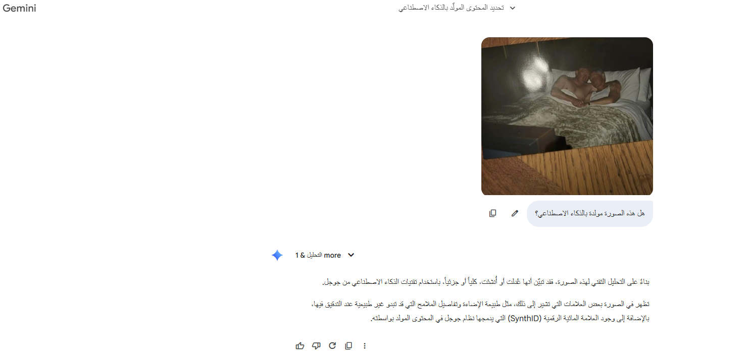 نتيجة تحليل الصورة بواسطة Gemini