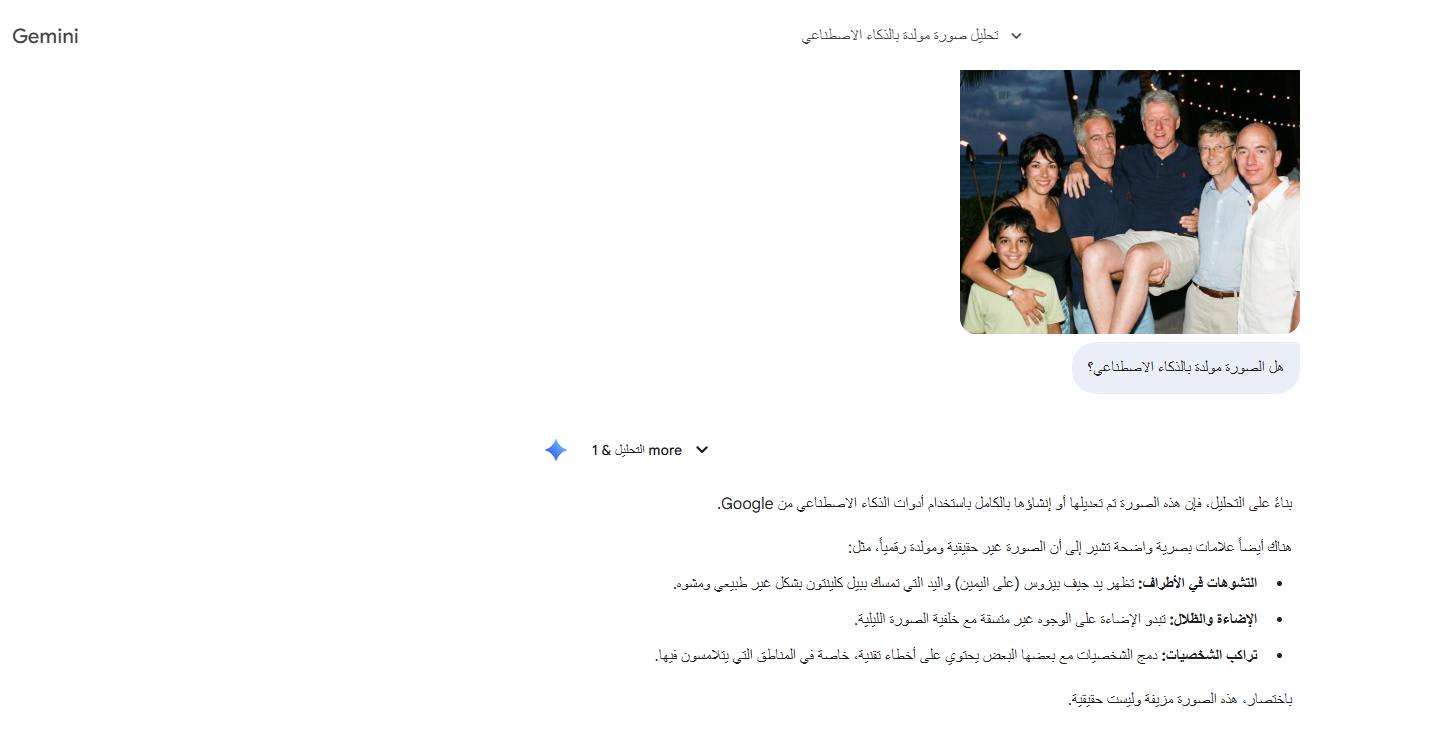 نتيجة تحليل الصورة بواسطة Gemini