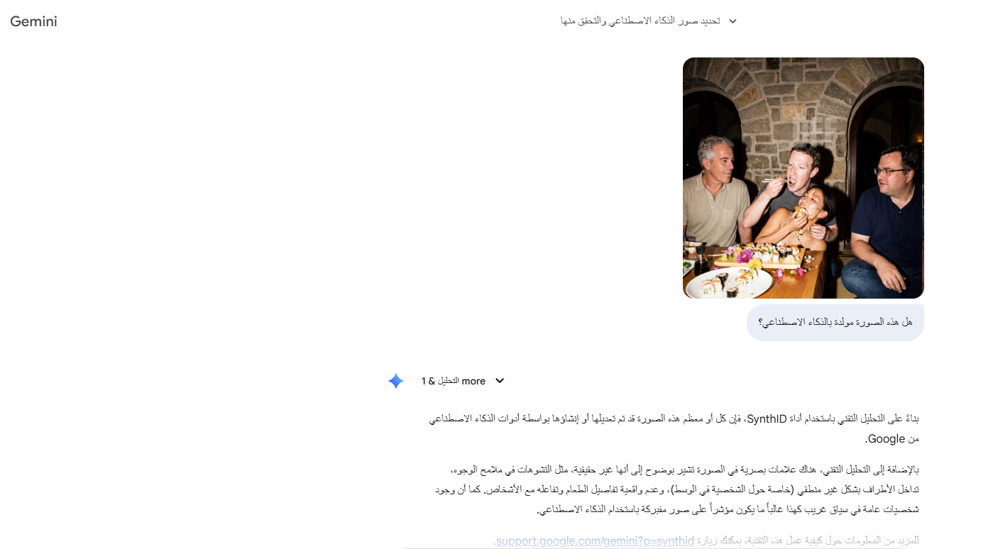 نتيجة تحليل الصورة بواسطة Gemini