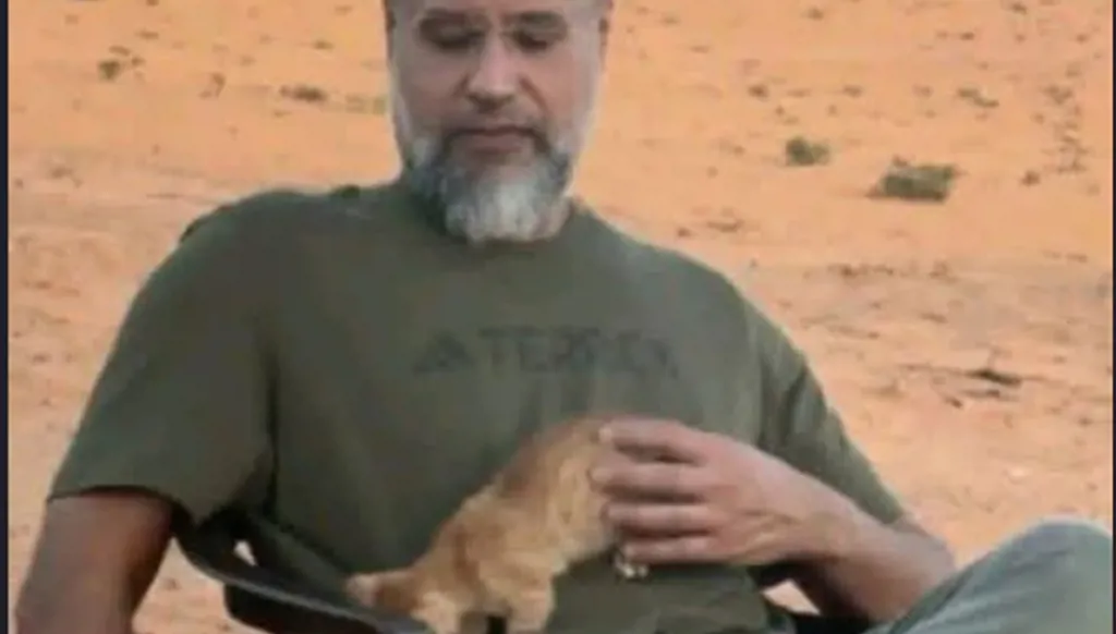 "تبحث عنه"… قطة سيف الإسلام القذافي تشعل التعاطف