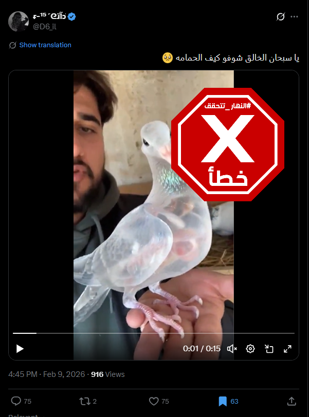 لقطة من الفيديو المتناقل بالمزاعم الخاطئة (اكس)