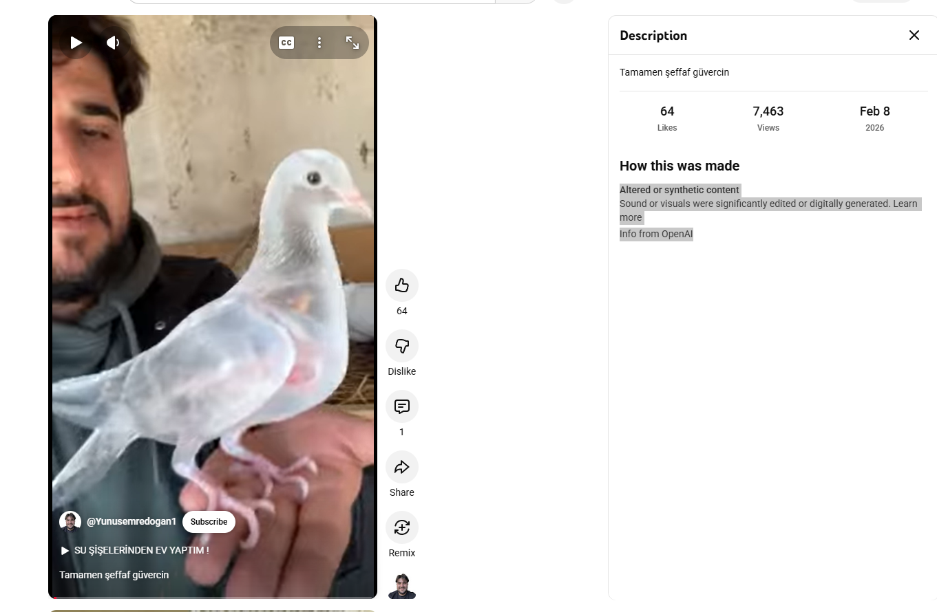 لقطة من الفيديو المنشور في حساب Yunusemredogan1/Yunus Emre Oyun@ في يوتيوب، في 8 شباط 2026