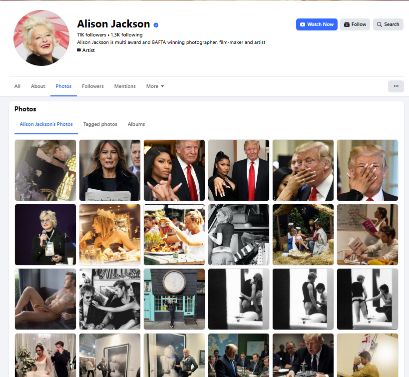 لقطة لعدد من الصور المنشورة في صحفة أليسون في الفايسبوك