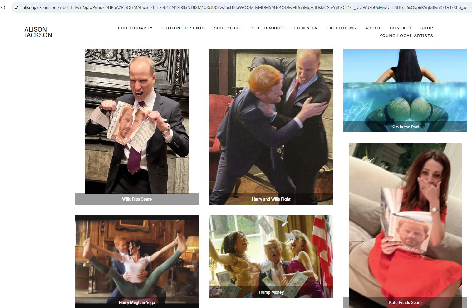 لقطة لعدد من الصور المنشورة في موقع أليسون