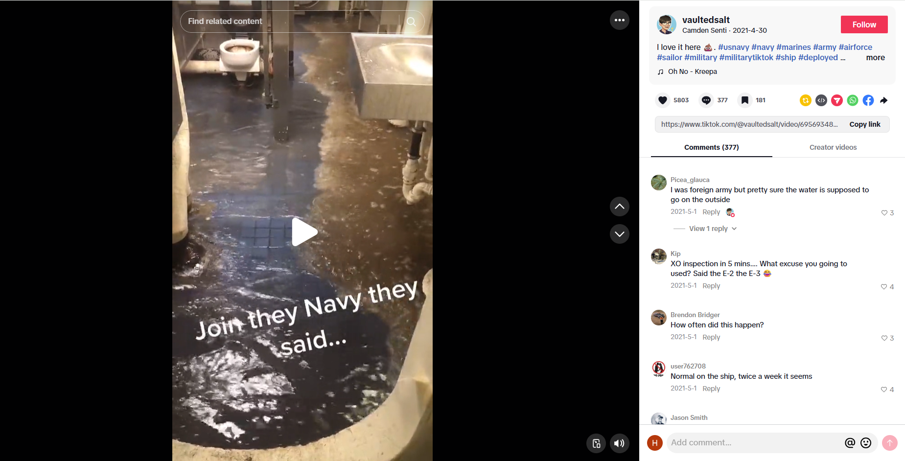 لقطة من الفيديو المنشور في حساب vaultedsalt@ في تيك توك، في 30 نيسان 2021  
