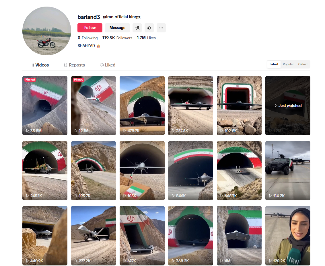 لقطة لحساب Iran official king/ @barland3 في تيك توك