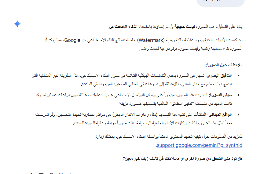 نتيجة تحليل الصورة بواسطة Gemini