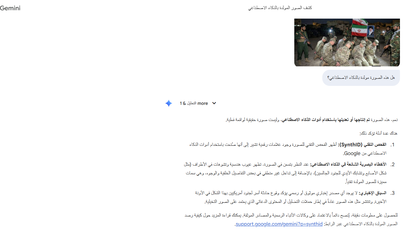 تحليل Gemini للصورة