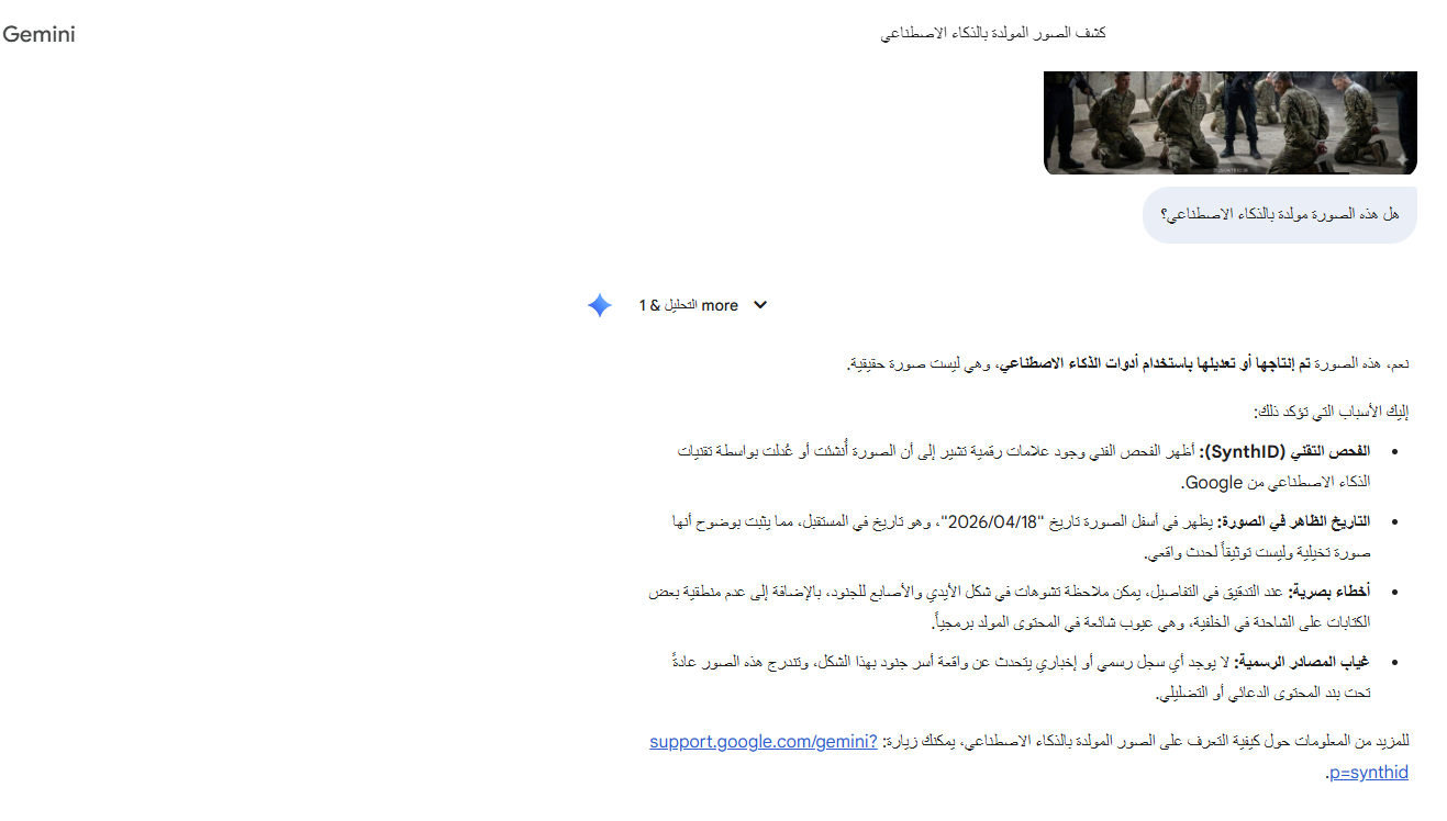 تحليل الصورة بواسطة Gemini