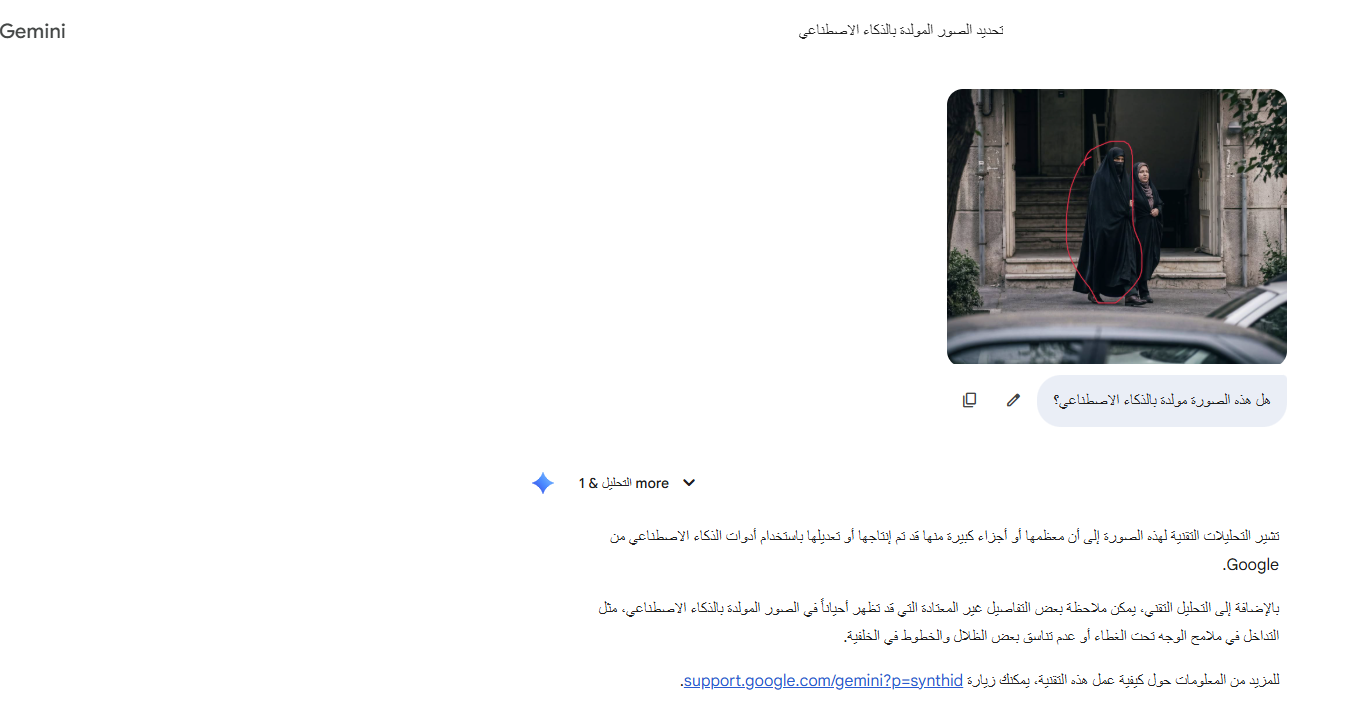تحليل Gemini للصورة