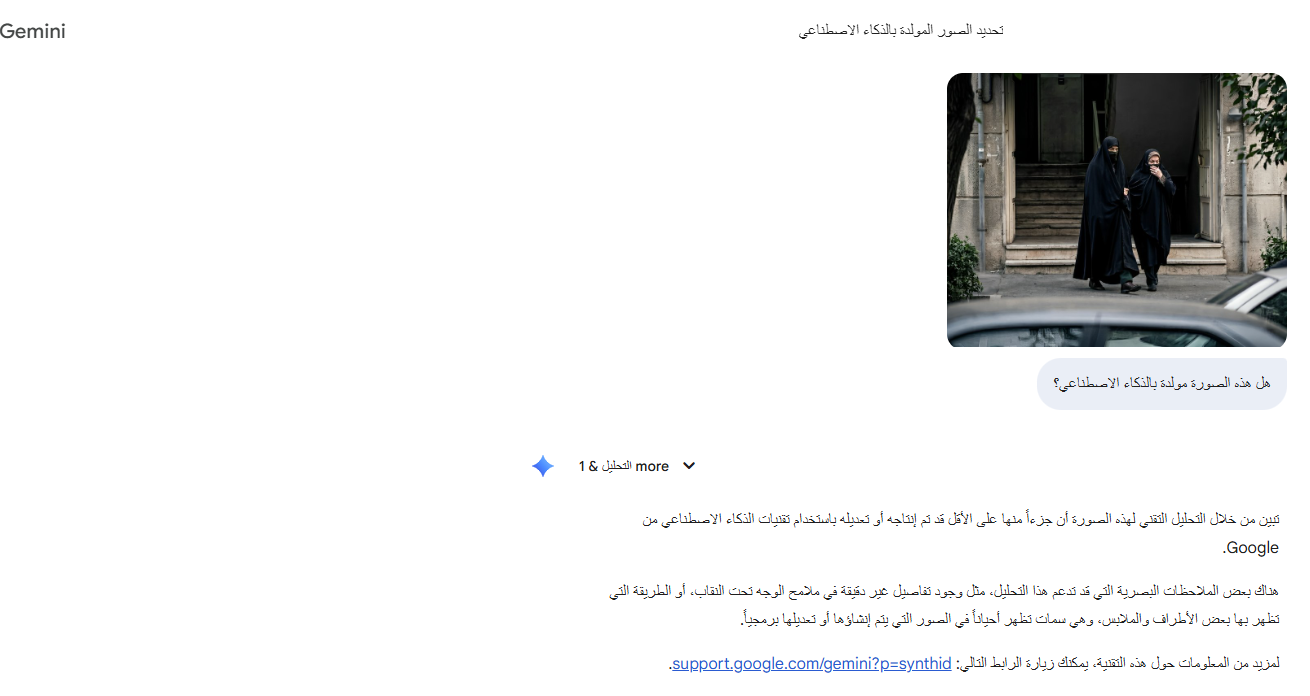 تحليل Gemini للصورة