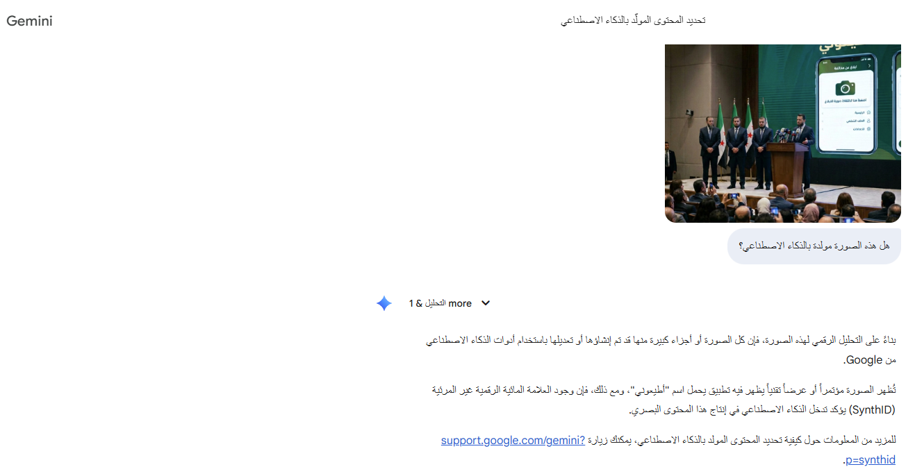 تحليل Gemini للصورة