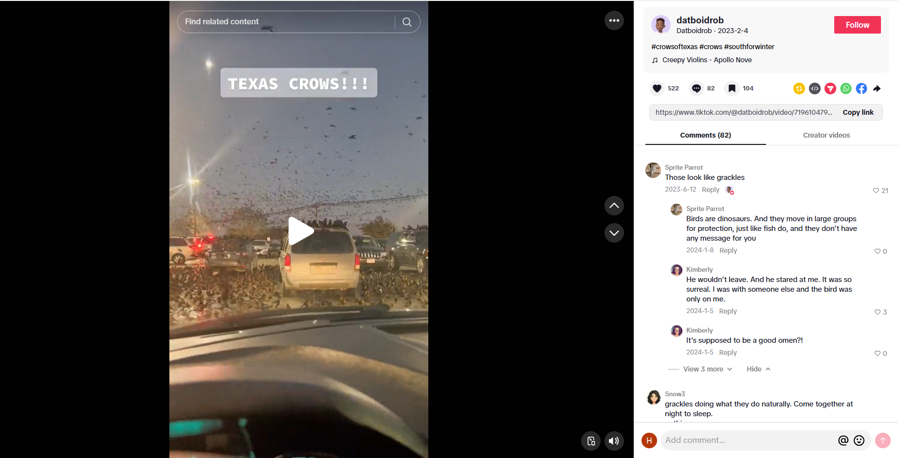 لقطة من الفيديو المنشور في حساب datboidrob@ في تيك توك، في 4 شباط 2023 