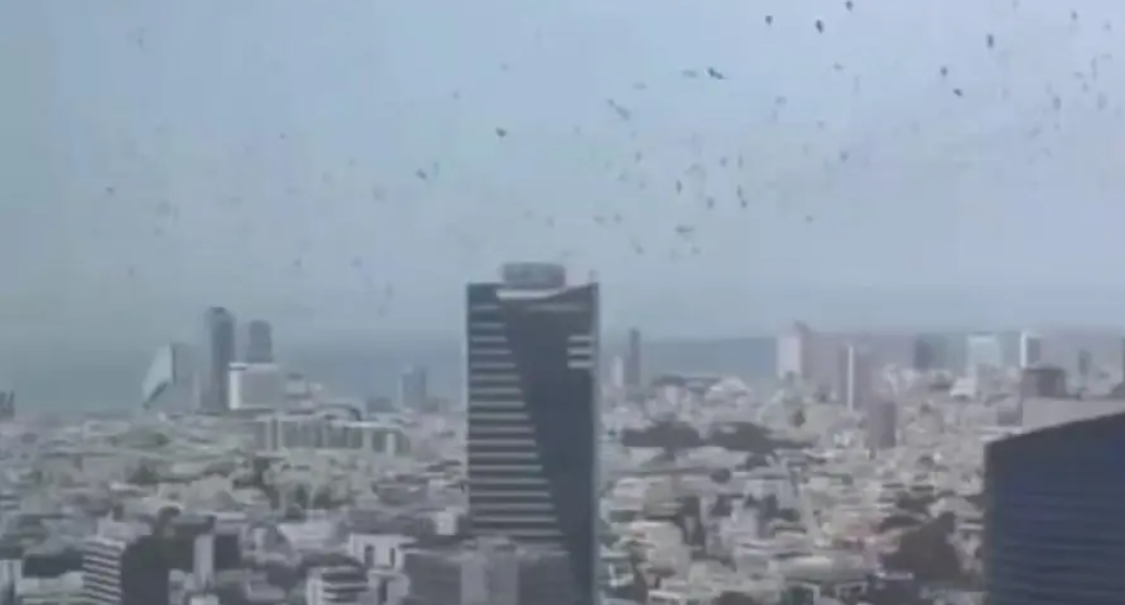 غربان في سماء تل أبيب