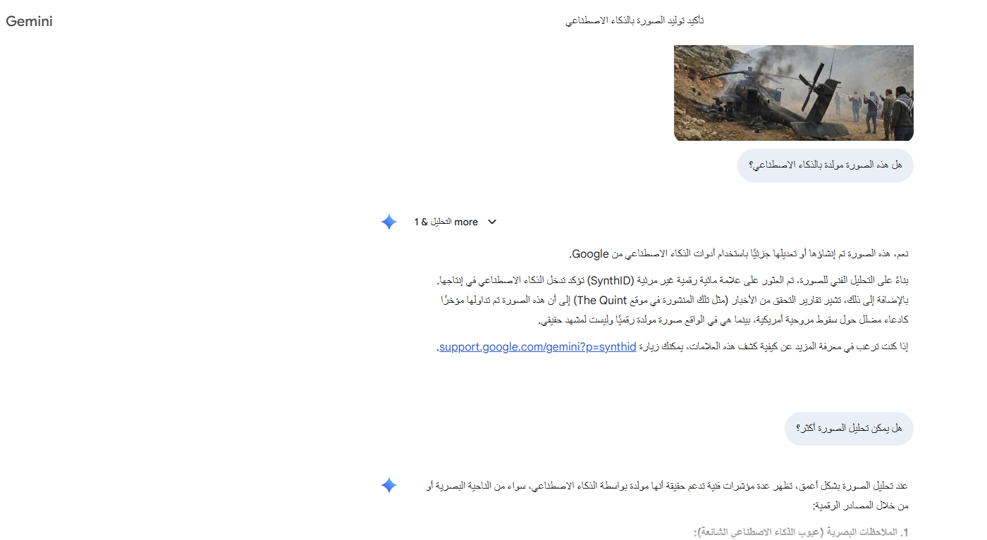 تحليل Gemini للصورة