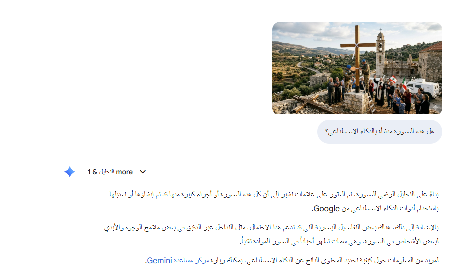 تحليل Gemini للصورة