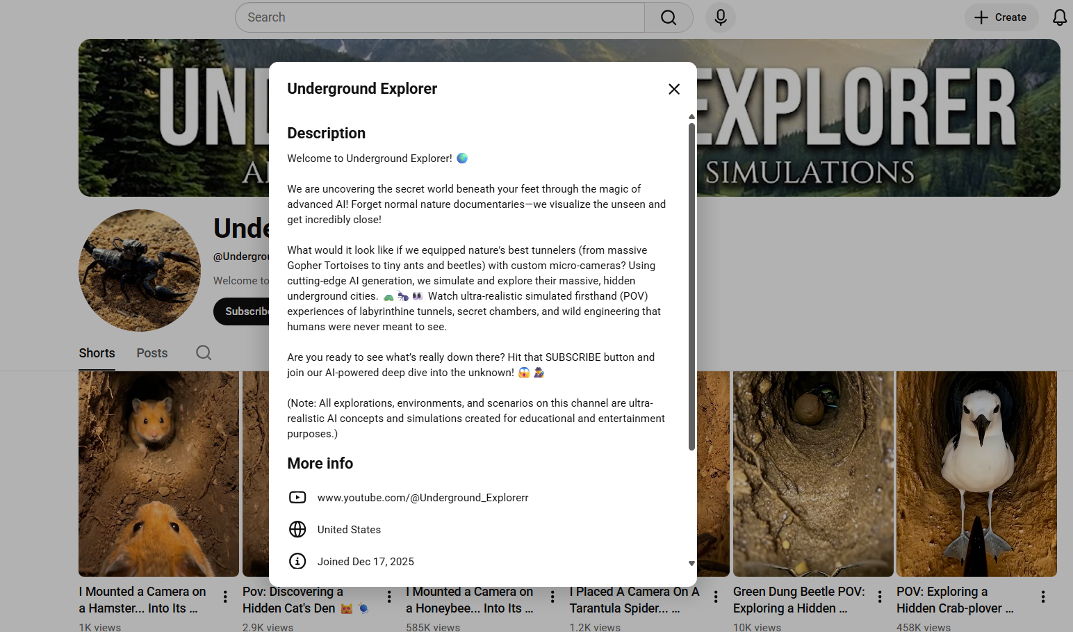 التعريف بحساب Underground Explorer