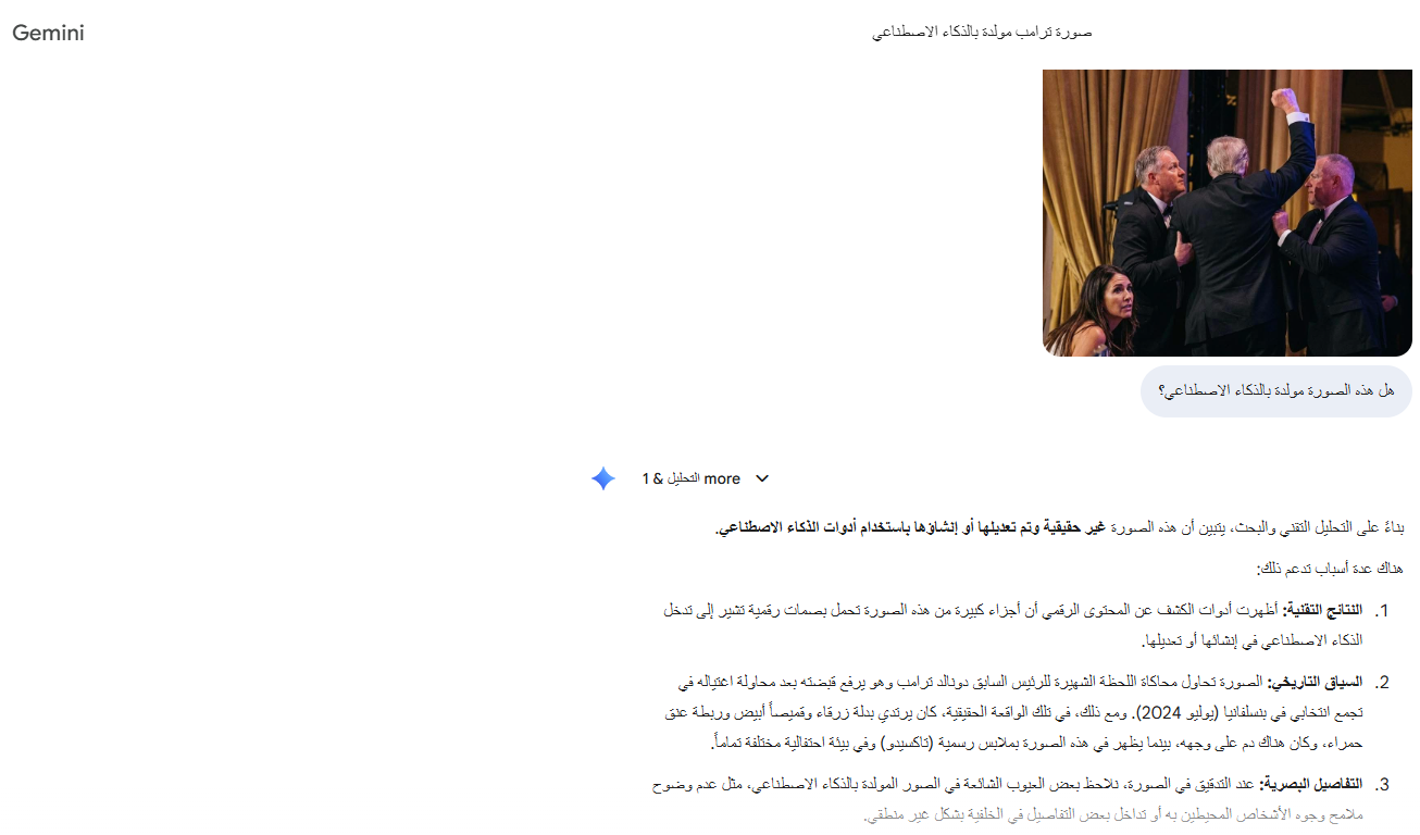 تحليل Gemini للصورة