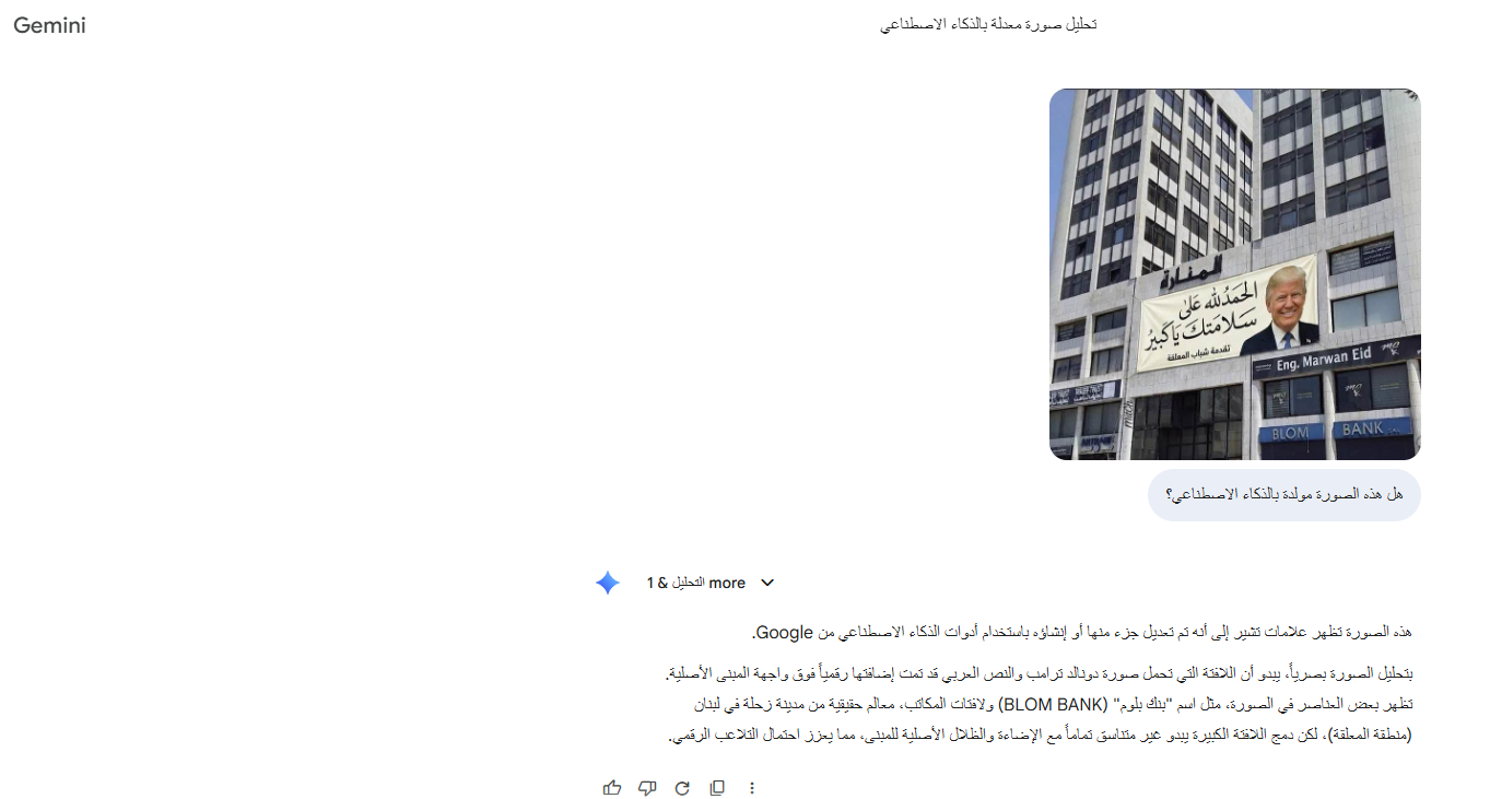 تحليل Gemini للصورة