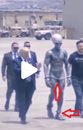 مؤشرات الى الذكاء الاصطناعي في الصورة اشرنا اليها بالاحمر 