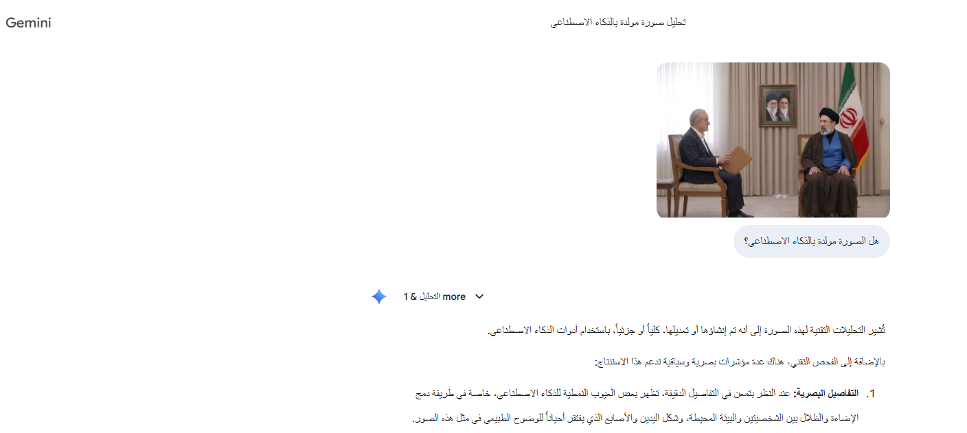 تحليل Gemini للصورة