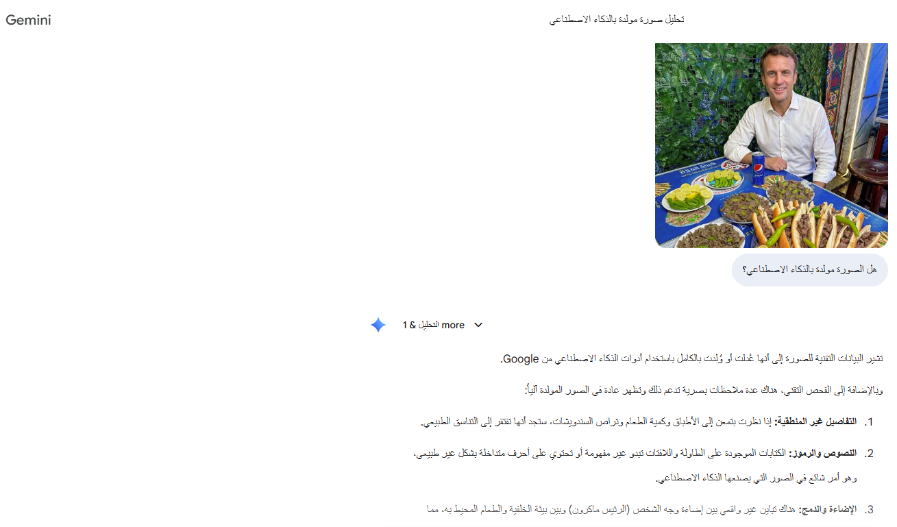 تحليل Gemini للصورة