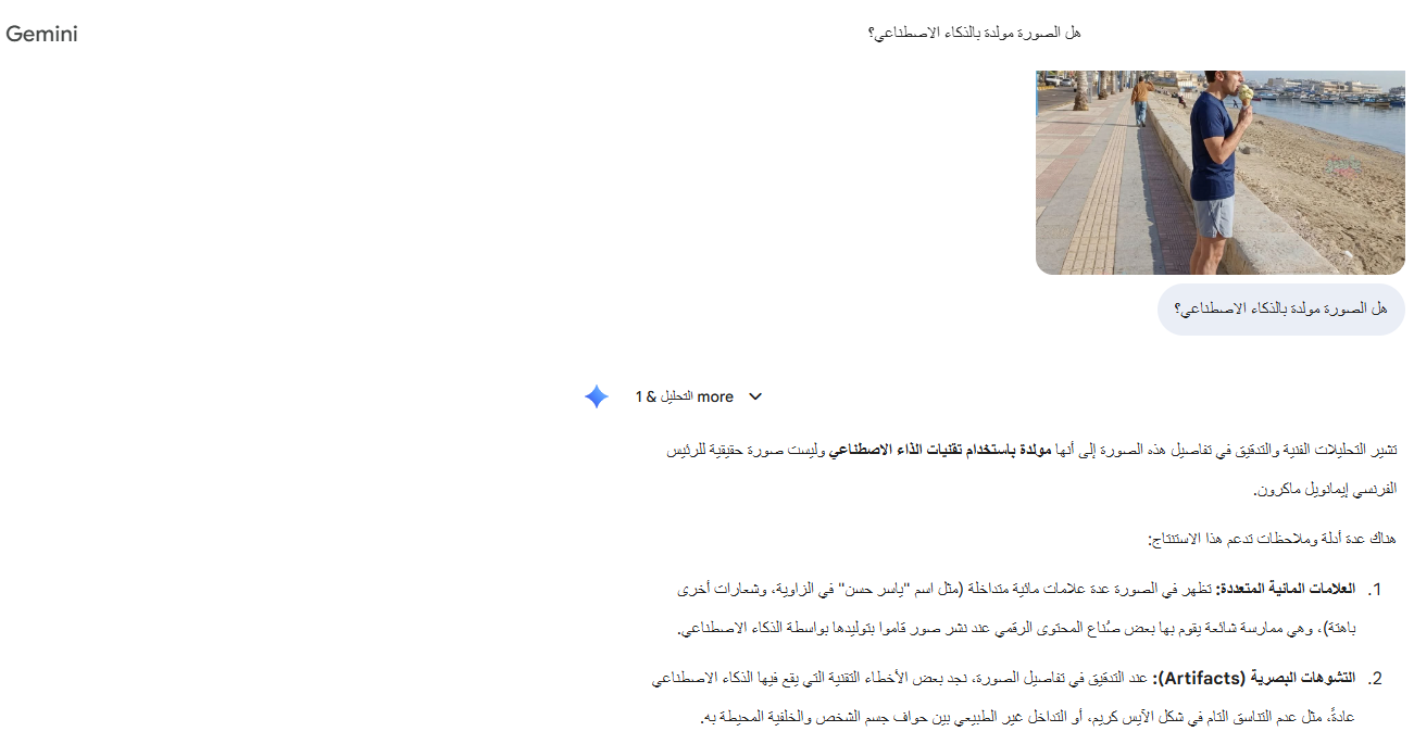 تحليل Gemini للصورة