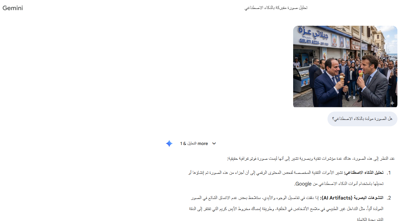 تحليل Gemini للصورة