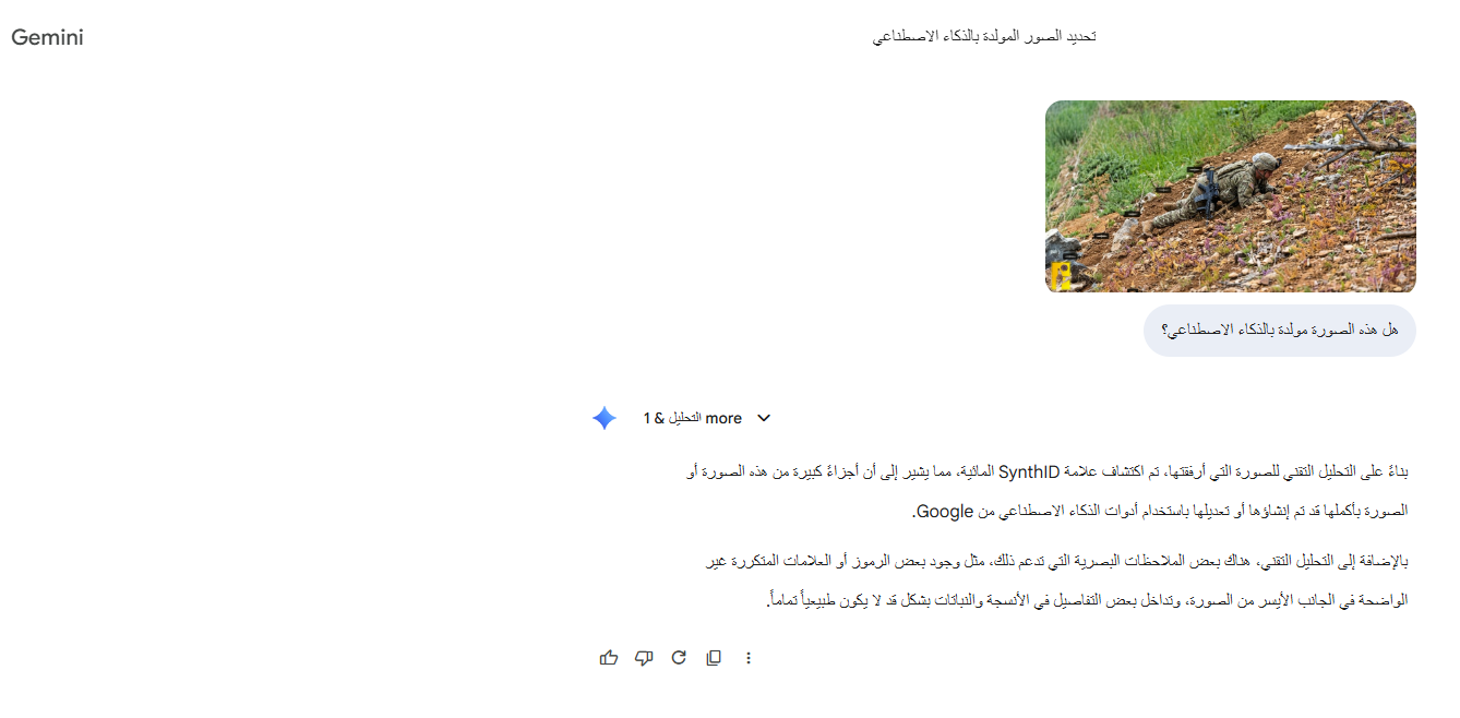 تحليل Gemini للصورة