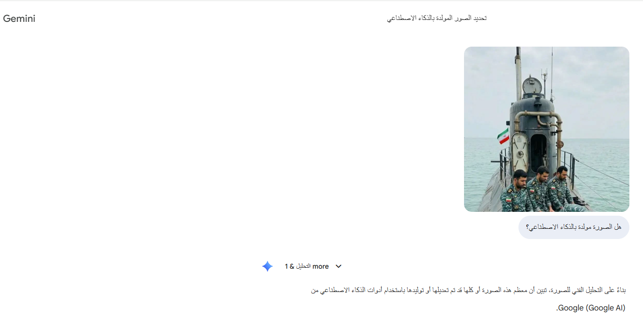 تحليل Gemini للصورة