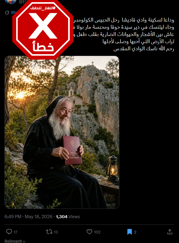 الصورة المتناقلة بالمزاعم الخاطئة (اكس)